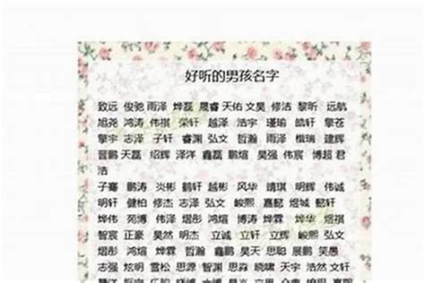 2023取名字庫|2023年男孩起名大全 男孩取名字寓意好的名字